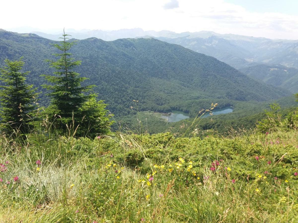 Eko Katun Damjanovic - Bjelasica Mojkovac Exterior photo