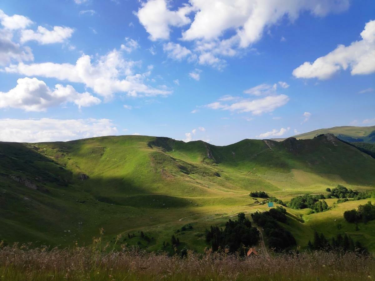 Eko Katun Damjanovic - Bjelasica Mojkovac Exterior photo
